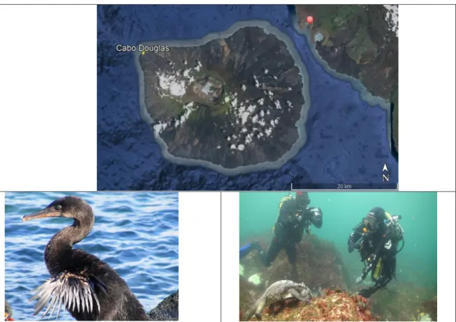 Figura 4: Recorrido del Cabo Douglas 
