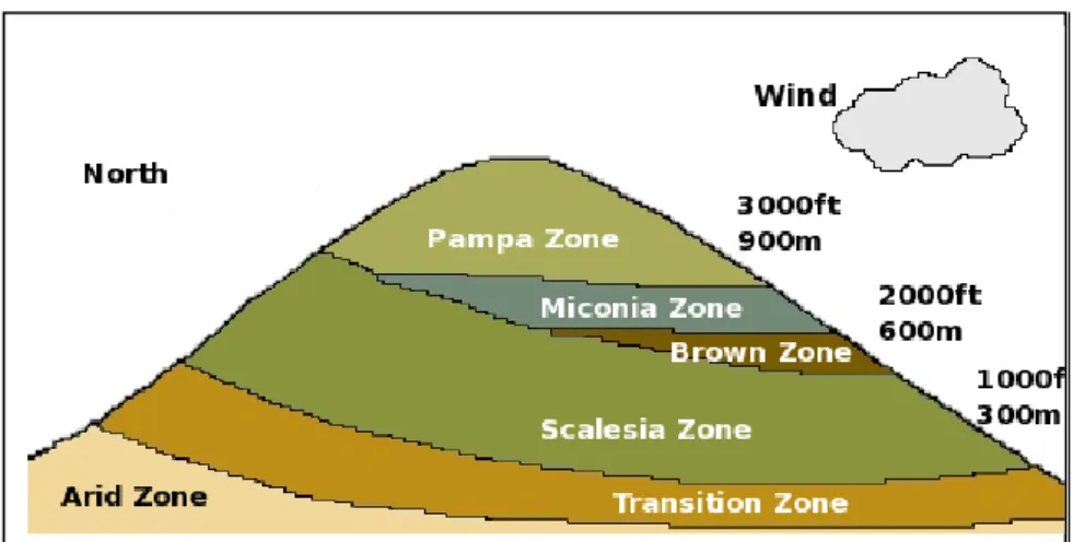 Gráfico 5: Zonas de vegetación de las islas 