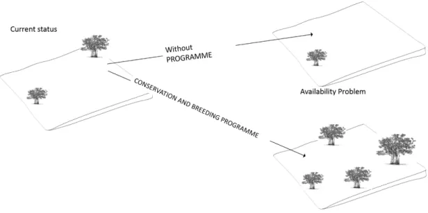 Figure 6. Valuation scenario.