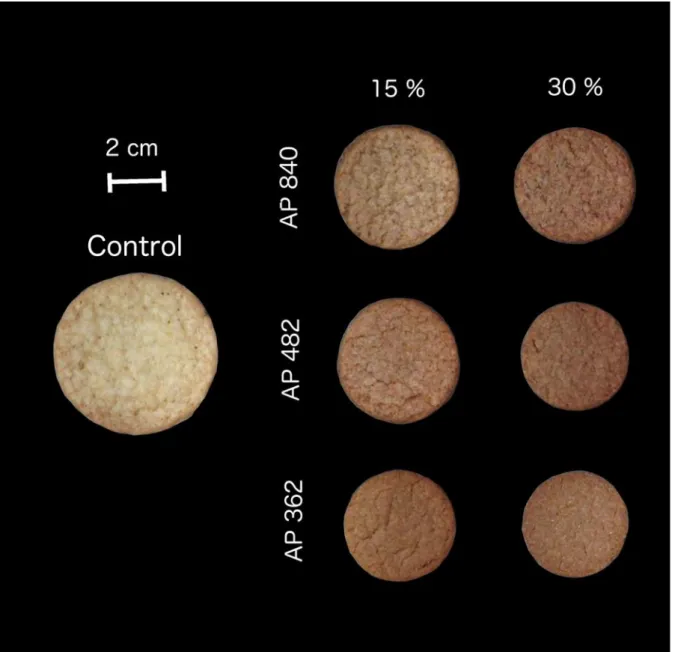 Figure 4. Image of sugar-snap cookies made from wheat flour and AP. d(4,3): AP840= 840  μm, AP482=482 μm, AP362=362 μm    