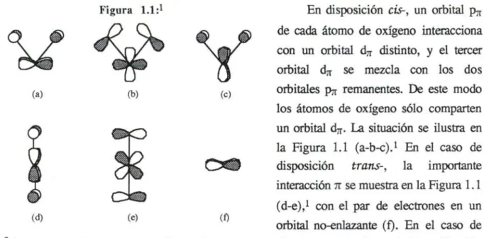 Figura 1.1:1 En disposición cis-, un orbital pjj  de cada átomo de oxígeno interacciona  con un orbital ájx distinto, y el tercer  orbital djr se mezcla con los dos  orbitales pjt remanentes