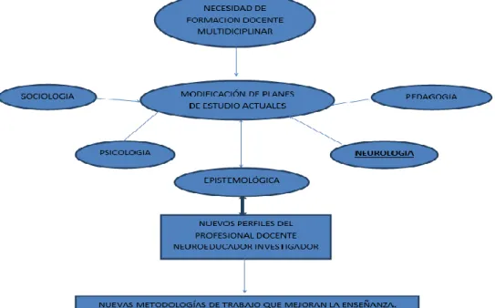 Figura 2.  La neuroeducación. 