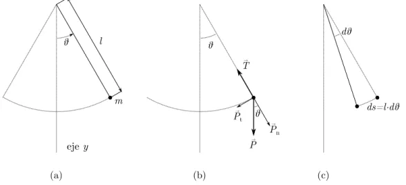 Figura 1: Disposición del Péndulo Simple y su Diagrama de Fuerzas.