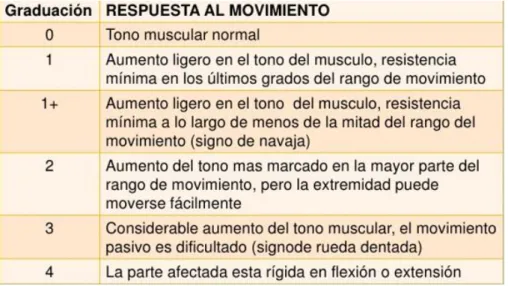 Tabla 5. Escala de Ashworth Modificada. (Bohanon &amp;Smith 87) 