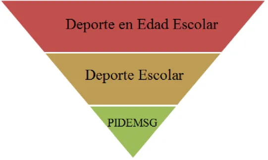 Figura 2. Relación del PIDEMSG respecto a los términos definidos. (Elaboración propia) 