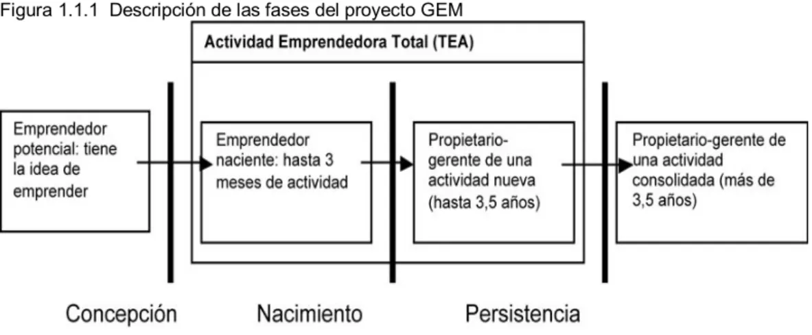 Figura 1.1.1  Descripción de las fases del proyecto GEM 