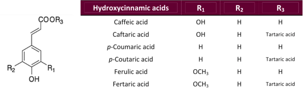 Figure 28. Structures of hydroxycinnamic acids. 