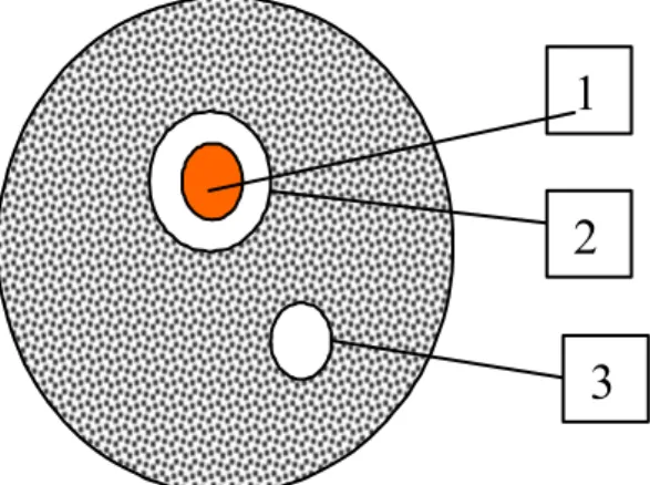Figura 3: Ensayo disco-placa. 1.- Disco empapado en extracto. 2.- Halo de inhibición del  crecimiento microbiano
