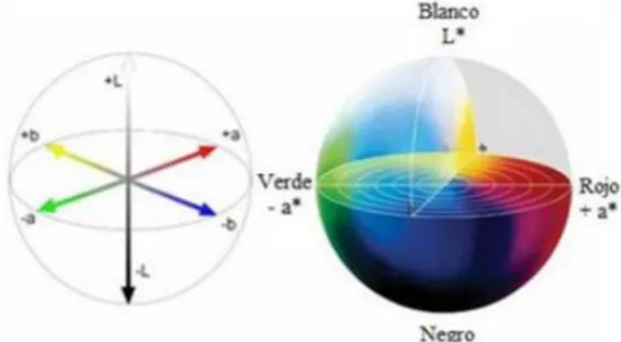 Figura 3. Espacio CIELab.