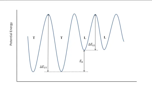 Figure 4-3. Potential energy trace and energetic relationships between trapping sites (T) and lattice  sites (L)