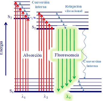 Figura 3.1.1: Diagrama de niveles de energía de una molécula con las vías para la  desactivación de un estado excitado