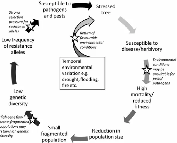Figure  2.  The  effects  of  temporal  environmental  variation  on  the  susceptibility  of  tree  populations  to  pests  and  pathogens, figure from Telford, Cavers, Ennos, &amp; Cottrell (2015)