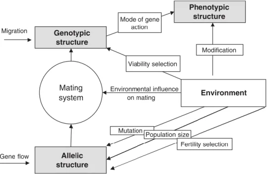 Figure 3. The environmental impact on phenotypic structures, figure from Finkeldey &amp; Hattemer (2007) 