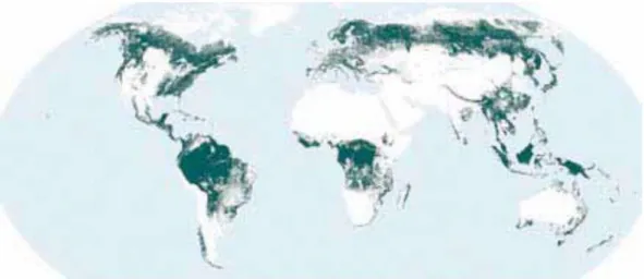 Figure 5. The World Forest, Figure from FAO (2010) 