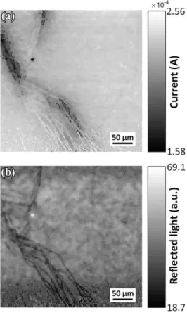 Fig. 5. (a) LBIC map of a C-series solar cell area presenting dark spots (400x400 µm 2 , 100x objective, step  164 