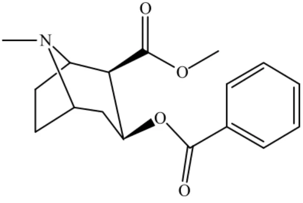 Figure 2.1. - Chemical structure of cocaine. 