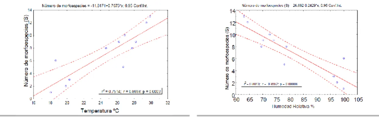 Fig.  4.39    Relación  entre  la  temperatura  en  ºC  y  el  número  de  morfoespecies  de  hormigas  (S)  en  la  gradiente  altitudinal  muestreada  de  Laquipampa