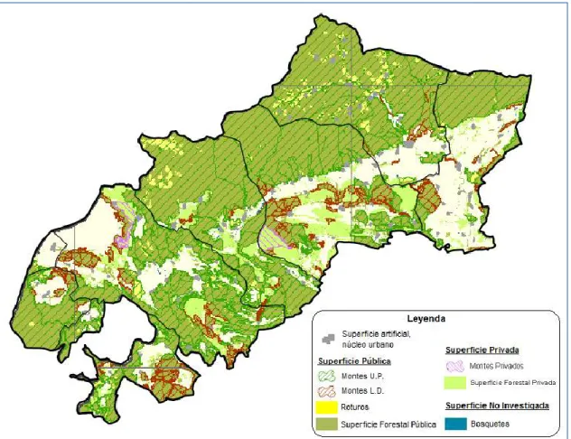 Figura  7.12.  Mapa  de  la  propiedad  forestal  en  el  área  del  plan.  Fuente:  Junta  de  CyL
