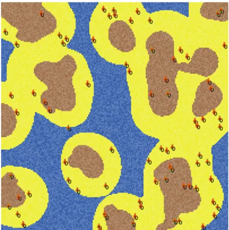 Fig 1. Snapshot of a 201x201 patch environment. Blue cells represent water, yellow represent beach and brown stands for land.