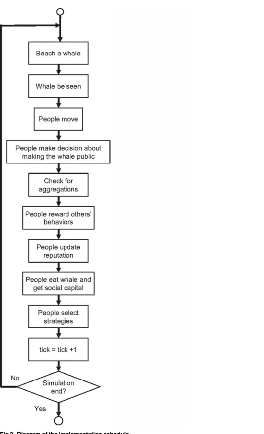 Fig 2. Diagram of the implementation schedule.