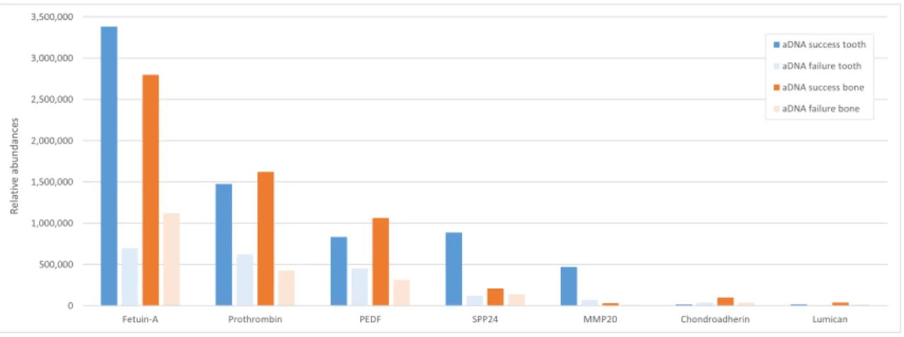 Fig. 4. Average relative abundances for seven commonly identiﬁed proteins in tooth and in bone samples which were successful for or failed aDNA analysis