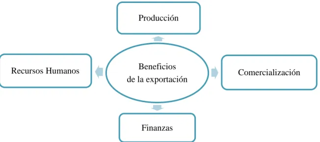 Figura 1.2: Beneficios de la exportación 