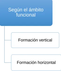 Figura 1.3 Formación según el ámbito funcional 
