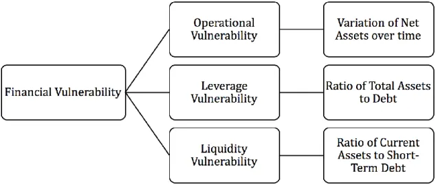 Figure 3.1. Three-dimensional Model of Financial Vulnerability 