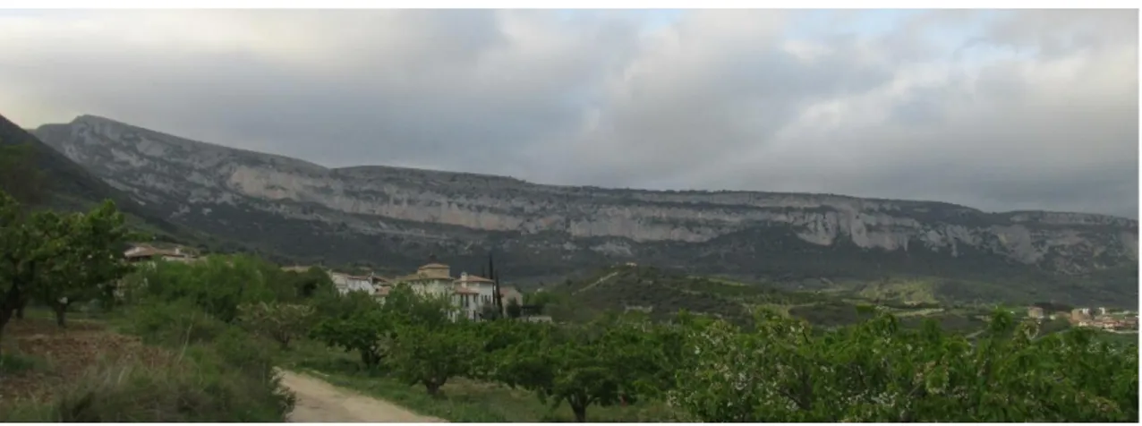 Ilustración 8: Vista del roquedo de Etxauri desde Bidaurreta. Fuente propia.