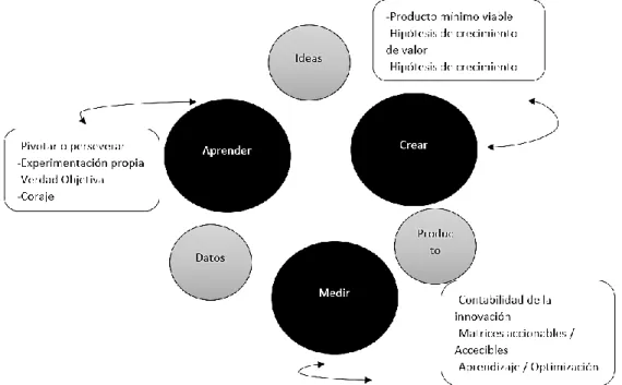 Figura Nº 1-1 Circuito Feedback De Información 