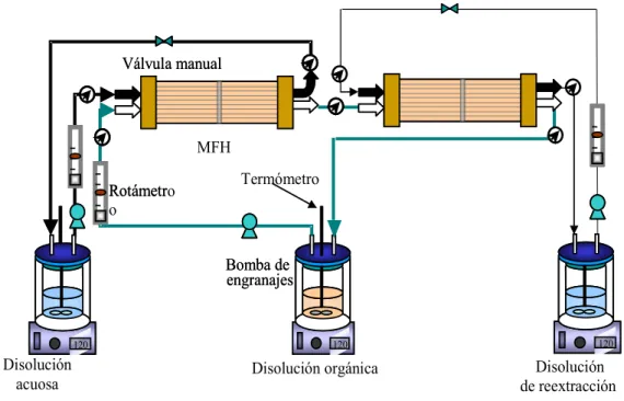 Figura 4.  Esquema del dispositivo experimental empleado para el proceso integrado de  extracción – reextracción de betaína