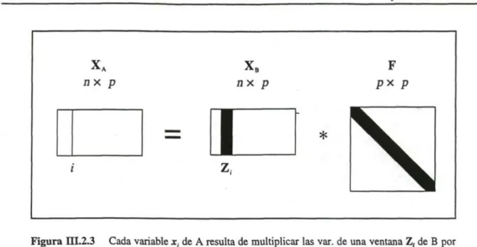 Figura ni.2.3 Cada variable x, de A resulta de multiplicar las var. de una ventana Z, de B por  la matriz banda diagonal F