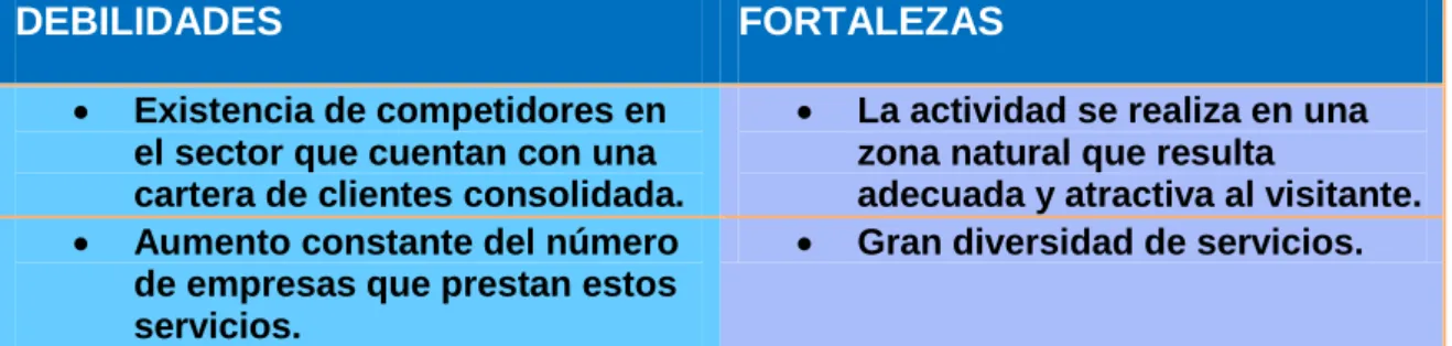 Cuadro 2.2.4. Análisis Dafo. 