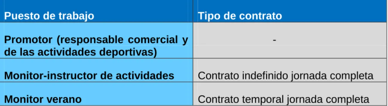 Cuadro 4.5. Puestos de trabajo. 