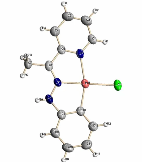 Figura B-1. Estructura molecular de [Pd(APFH)Cl] (1a) 