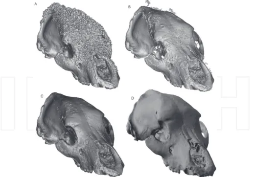 Figure 4. Virtual reconstruction and cleaning [7].