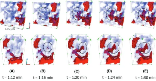 Figure 7. Example of the possibilities of CT scan technology in rocks [29]. This time, the sequence shows a pore filling event.