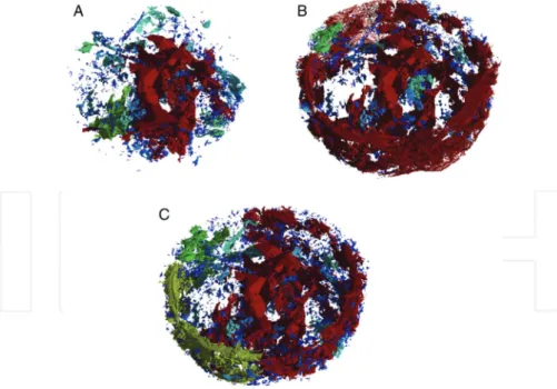 Figure 8. The example of rendering volumes of the changing pores in limestone [35]. The pores are color coded from red  (large) to blue (small)