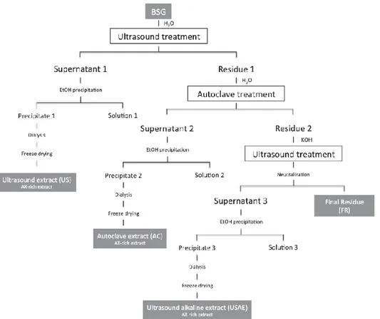 Figura 5. Tratamiento de BSG con ultrasonidos para la extracción de AX. (FUENTE: Reis et al, 2015) 