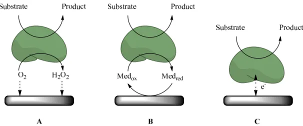 Figure 3.13.- Representation of the three types of amperometric enzymatic biosensors. First  (A), second (B) and third (C) generation biosensors