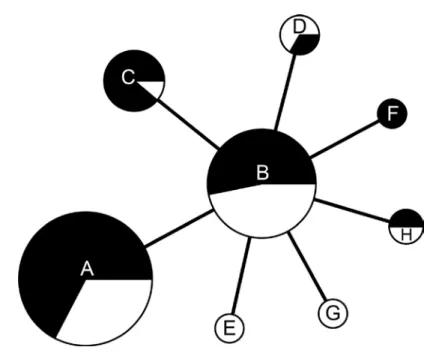 Figure  4.  Minimum-spanning  tree  based  on  multilocus variable number tandem repeat  (MLVA) analysis of genotypes showing genetic  relationships  among  98  Francisella tularensis  subsp