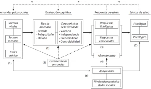 Figura 4. Modelo procesual del estrés y principales relaciones entre los siete  componentes básicos: (1) demandas psicosociales (comúnmente estrés 