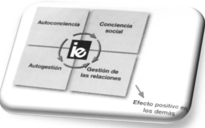 Figura I. Estructura IE. 