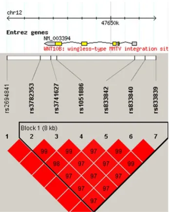 Fig. 1 Linkage disequilibrium and resulting haplotypic block struc- struc-ture of the WNT10B region