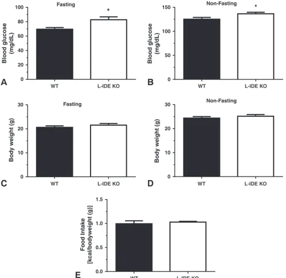 Fig. 2. Metabolic features of L-IDE-KO mice. Fasting (A) and non-fasting (B) blood glucose levels in 3-month-old male WT and L-IDE-KO mice