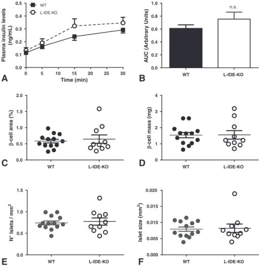 Fig. 7. Effects of Ide deletion on β-cell function and mass. (A) Plasma insulin levels during IP-GTT