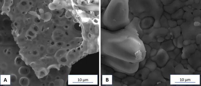 Figure 6. Experimental XRD pattern (blue squares) and the Rietveld refinement profile (red line) of  the KNN ceramic prepared with 0.2 g of citric acid and calcinated at 500ºC