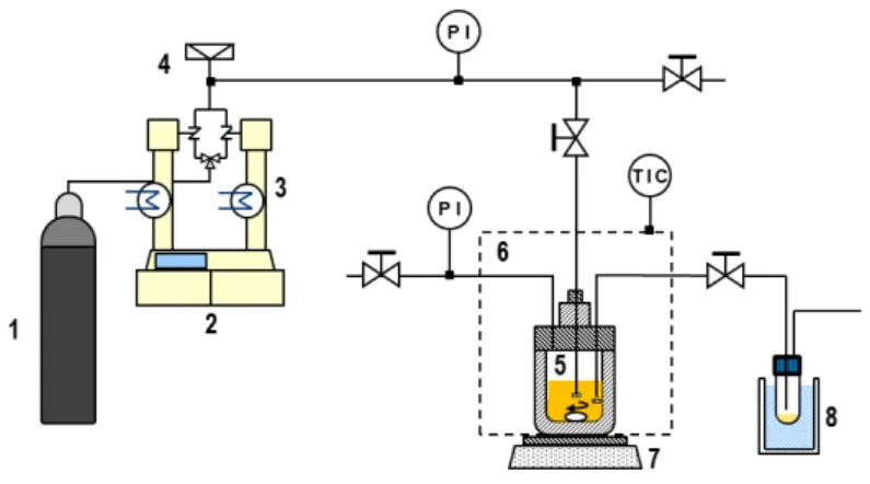 Figure 1. Schematic diagram of the high pressure system used for HPCD treatment. 1: CO 2  supply; 2: Syringe  pump and controller (ISCO 260D); 3: Cooling system; 4: Rupture disc; 5: High pressure vessel; 6: Thermostatic 