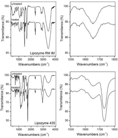 Fig.  6.  FT-IR spectra of the studied immobilized lipases before and  after SC-CO 2