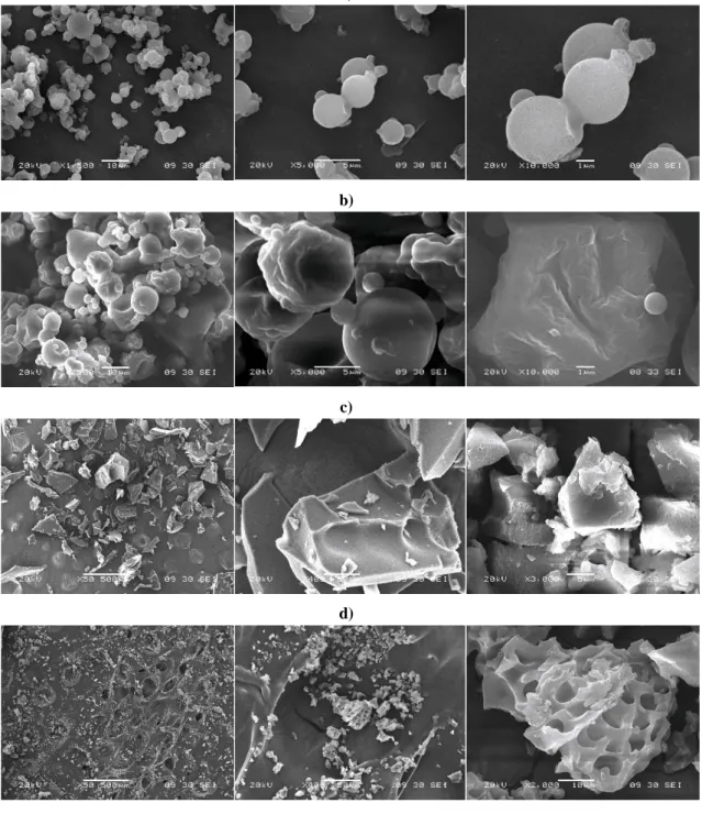 Figure 3. SEM micrographs of the dried powders. a) powder obtained by PGSS-drying, b) powder obtained by 